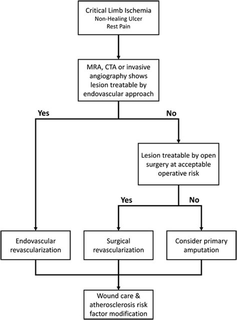 Management Of Critical Limb Ischemia Circulation Cardiovascular Interventions