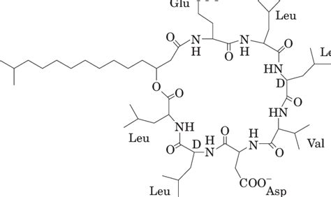 Structure Of Surfactin Download Scientific Diagram