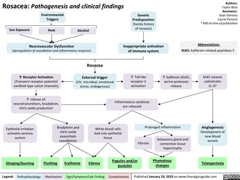 Rosacea Pathogenesis And Clinical Findings Calgary Guide