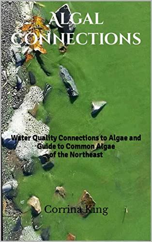 Algal Connections Water Quality Connections To Algae And