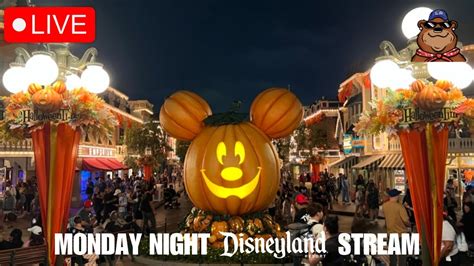 Live Monday Night Stream At Disneyland Evening Stroll Around The