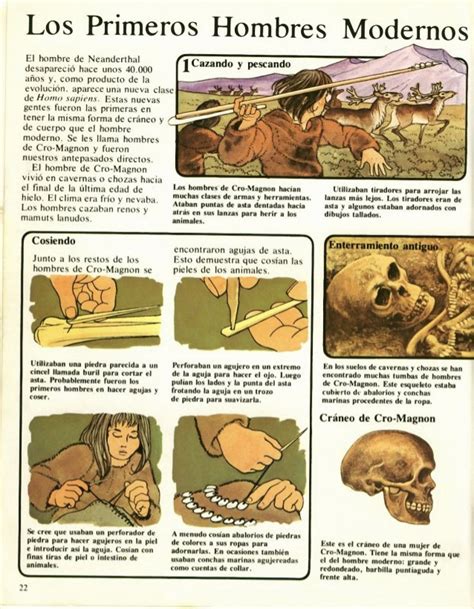 Noticias De La Prehistoria La Prehistoria Ilustrada Para Niños