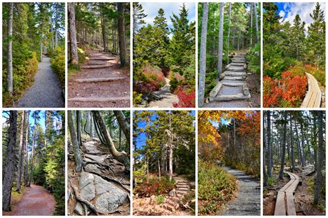 Acadia National Park Hiking - Best Easy Hikes in Acadia