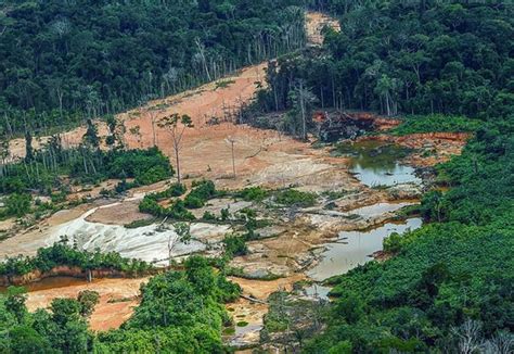 Yanomami Governo Bolsonaro Sabotou Visita Da Onu Ao Brasil Para