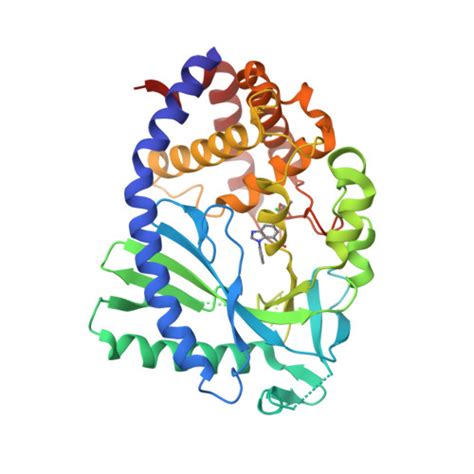 Rcsb Pdb Fuq Crystal Structure Of Human Cyclic Gmp Synthase In