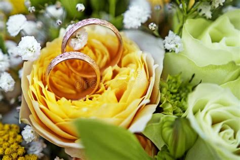 Wedding Rings In A Yellow Rose Stock Photo Image Of Matrimonial