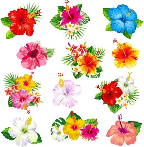 Amazon Whaline Pcs Hawaiian Refrigerator Magnets Colorful