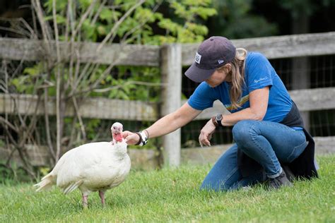 Treating Turkeys as Friends: A Q&A With Rima of Happy Farm Animal ...