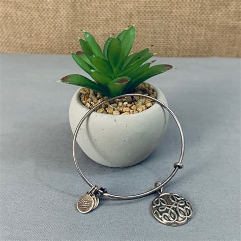 Alex And Ani Jewelry Alex And Ani Path Of Life Bracelet Poshmark