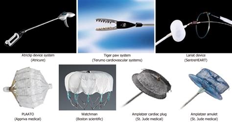 Percutaneous Devices For Left Atrial Appendage Occlusion A