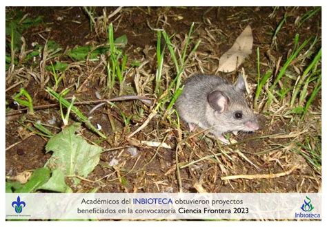 Acad Micos Del Inbioteca Son Beneficiados En La Convocatoria Ciencia