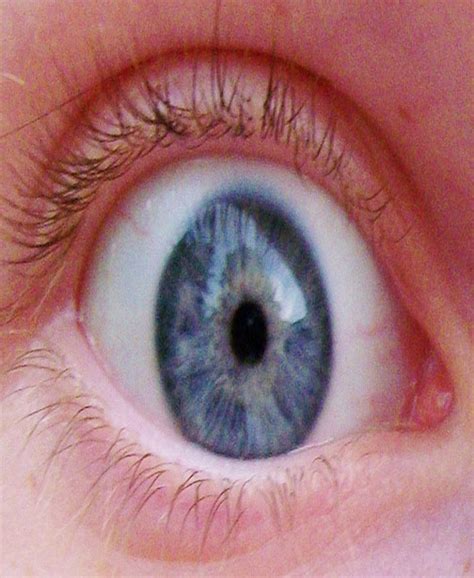eye  stock photo public domain pictures
