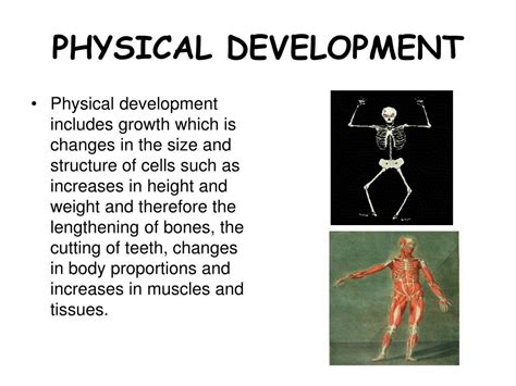 Ppt The Interrelationships Between Health And Physical Social