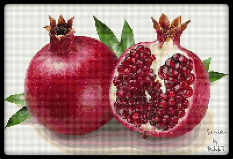 Cross Stitch Fruit StitchHobby Pinterest