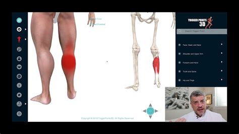 Trigger Point Of The Week Soleus Youtube