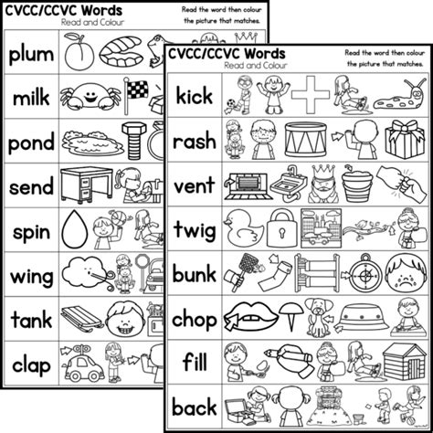 Cvcc And Ccvc Words Read And Colour Worksheets State Fonts Top Teacher