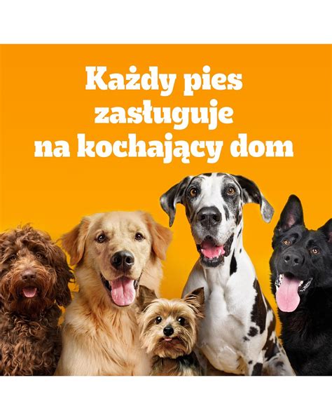 PEDIGREE Adult MINI 500 G Z Drobiem I Warzywami Sucha Karma