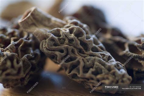 Dried morel mushrooms — close up, meal - Stock Photo | #157150208