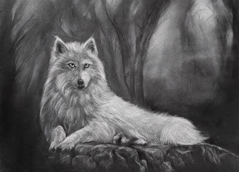 Loup Forêt jpeg Dessin par Evelyne Belsens Artmajeur