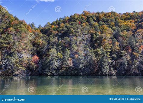 Cherokee National Forest Along The Watauga River Valley In Tennessee