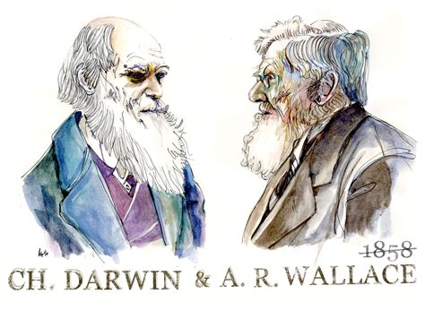 Origen Del Universo La Evoluci N De Las Especies Seg N Darwin Y Wallace