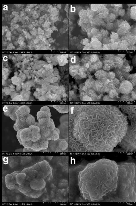 Low And High Magnification Fesem Images Showing Different Morphologies