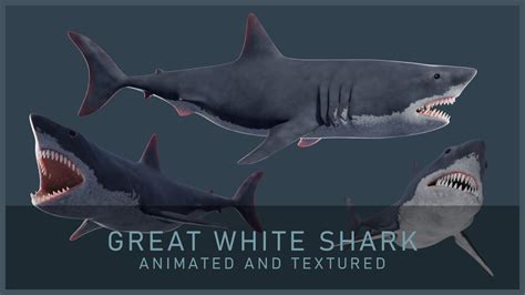 ArtStation - Great White Shark | Game Assets