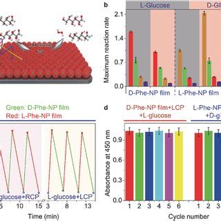 A Circular Dichroism Spectra Of Monolayer Np Film Modified With