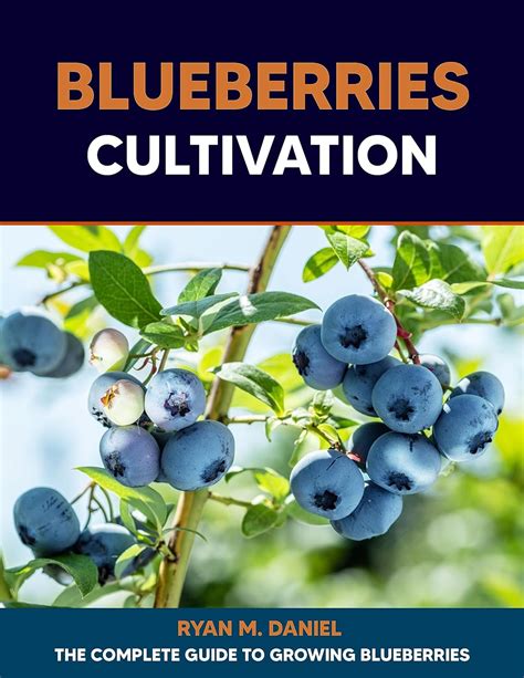 Amazon Blueberries Cultivation The Complete Guide To Growing