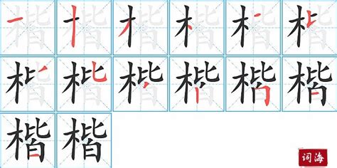 楷的笔顺笔画如何写？汉字楷的拼音、部首、笔画顺序及成语组词 学前教育资源网