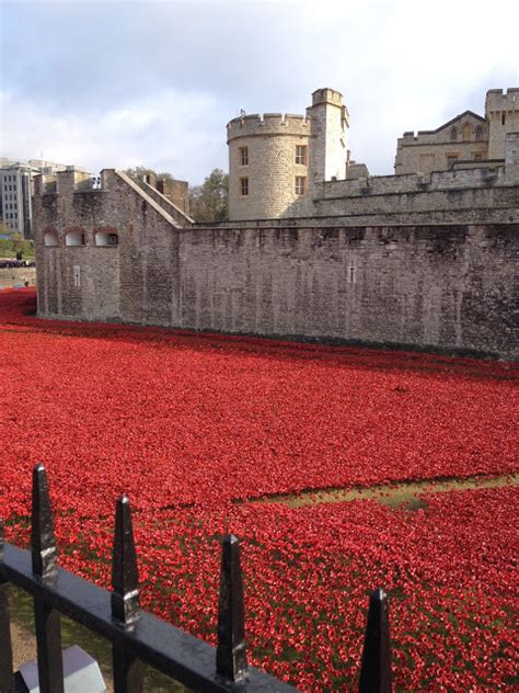 Poppies at the Tower of London 2014 - Arnolds Attic