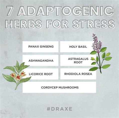 Adaptogenic Herbs Or Adaptogens That Help Reduce Stress Dr Axe