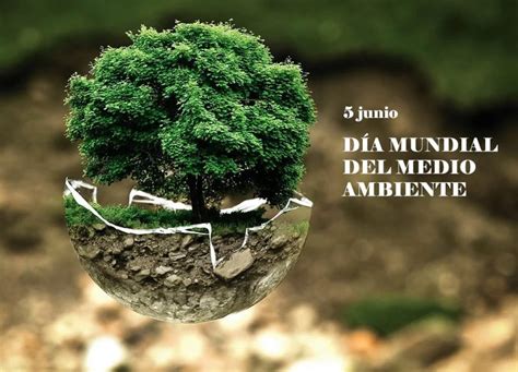 Feliz Día Mundial Del Medio Ambiente Plagal Sostenibilidad