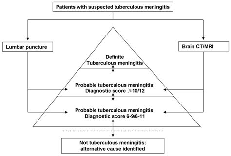 Tuberculous Meningitis Diagnosis And Treatment In Adults A Series Of