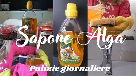 SAPONE ALGA I Vari Utilizzi Per Le Pulizie Giornaliere YouTube