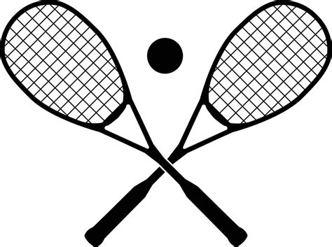 Squash Sport Vector Art Icons And Graphics For Free Download