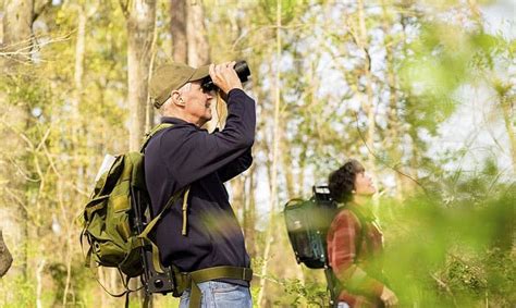 What Are Bird Watchers Called Terms To Get To Know