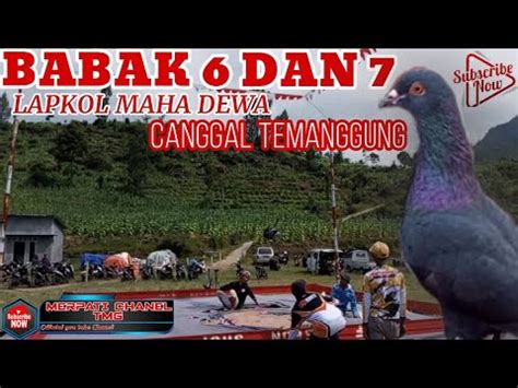 LOMBA MERPATI KOLONG LAPAK CANGGAL TEMANGGUNG MAHA DEWA YouTube