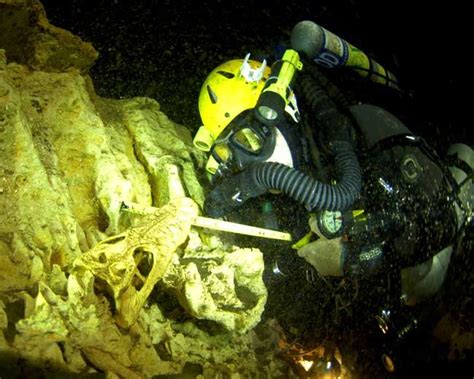 Ancient Animal Treasures Found in Bahamas Sinkhole | Live Science