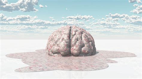 3d Rendering Of A Human Brain Melting Photograph By Bruce Rolff Fine