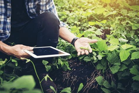 Digital For Food Impulsando La Digitalizaci N Del Campo Singular Foods