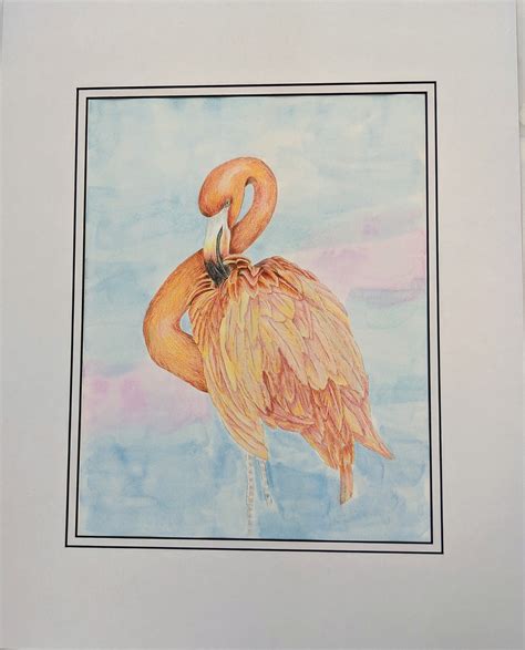 Flamingo Colored Pencil Watercolor Tropical Bird Free Shipping Etsy