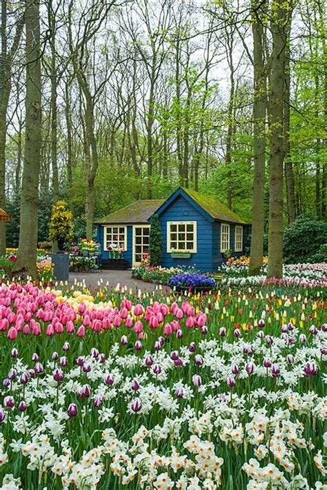 Keukenhof Gardens Amsterdam