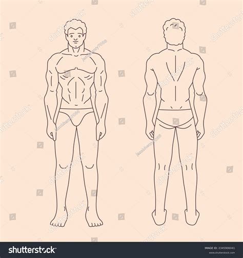 522 Male Nude Line Art Images Stock Photos Vectors Shutterstock