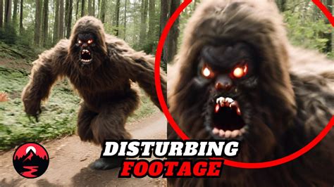 Most Disturbing Trail Cam Footage No One Was Supposed To See Youtube