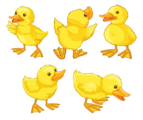 Duckling Clipart