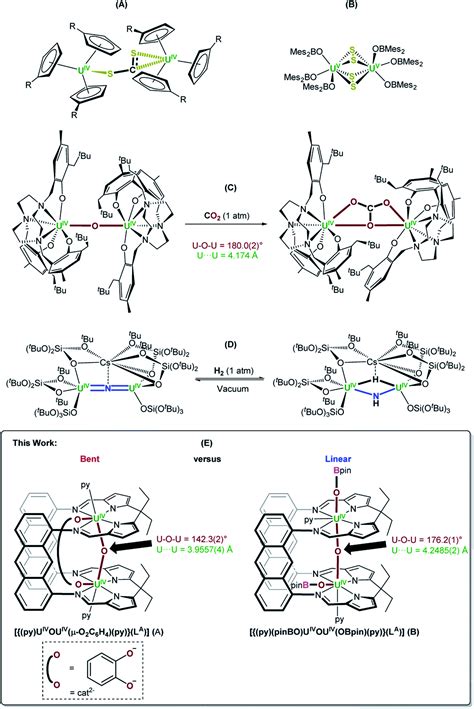 Selective Oxo Ligand Functionalisation And Substitution Reactivity In