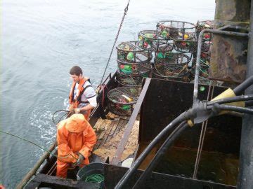 Oregon Commercial Crab Fishery To Open Jan 15 Fisherynation