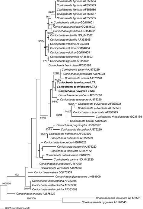 Phylogram Of The Best Maximum Likelihood Tree LnL 1873 2991