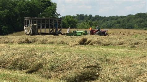 Farmstead Hay Youtube